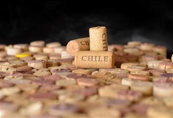 O Chile e seus vinhos: uma visão abrangente
