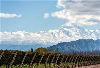 O Chile e seus vinhos: uma visão abrangente