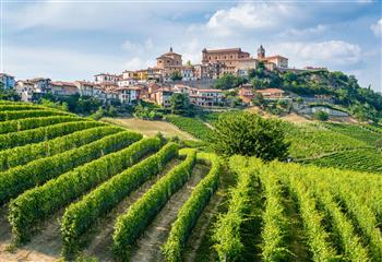 Vinhos do Piemonte